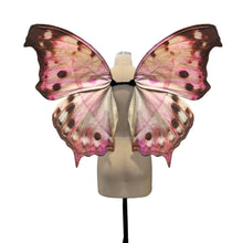 Pink Fairy Wings for Adults - Mother of Pearl Butterfly Wings for a Fairy Halloween Costume