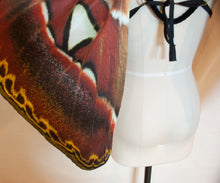Large Moth Costume Wings Atlas MOTH Halloween Costume or Fairy Wings