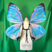 Large Blue Butterfly Costume Wings Morpho Sulkowskyi