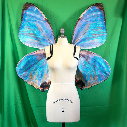 Large Blue Butterfly Costume Wings Morpho Sulkowskyi