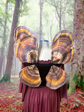 Small Mushroom Fairy Costume Wings for Halloween, Turkey Tail Mushroom Wings