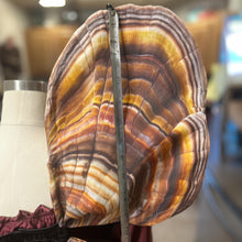 Small Mushroom Fairy Costume Wings for Halloween, Turkey Tail Mushroom Wings