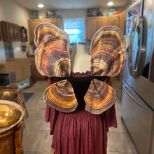 Small Mushroom Fairy Costume Wings for Halloween, Turkey Tail Mushroom Wings