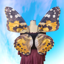 Painted Lady Butterfly Costume Wings Medium - Costume for Renaissance Festivals