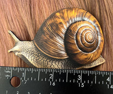Cottagecore Snail Hair Clip, Whimsical Hair Accessory, Renaissance Festival Hairstyle Accent