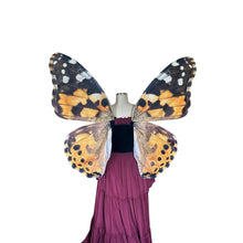 Large Painted Lady Butterfly Costume Wings - Butterfly Halloween Costume