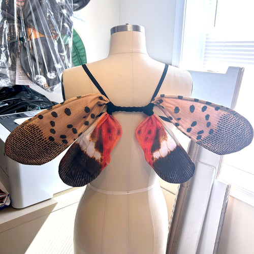 Small Lanternfly Costume Wings for Halloween