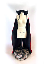 Ladybug Costume Adult Cape, Red and Black Faux Silk, Lady Bug Cape, Costume Wings