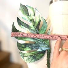 Monstera Leaf Fairy Wings, Adult Fairy Wings, Corset Friendly Fairy Wings
