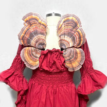 Fungi Fairy Wings, Adult Fairy Wings Turkey Tail Mushroom, Corset Friendly Fairy Wings