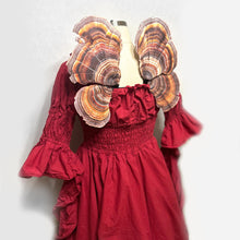 Fungi Fairy Wings, Adult Fairy Wings Turkey Tail Mushroom, Corset Friendly Fairy Wings