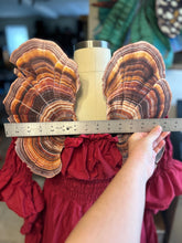 Fungi Fairy Wings, Adult Fairy Wings Turkey Tail Mushroom, Corset Friendly Fairy Wings