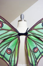 Spanish Moon MOTH Costume Wings, Green Fairy Wings, Moth Halloween Costume