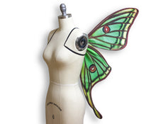 Spanish Moon MOTH Costume Wings, Green Fairy Wings, Moth Halloween Costume