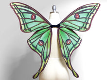 Spanish Moon MOTH Costume Wings, Green Fairy Wings, Moth Halloween Costume