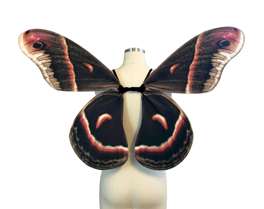 Brown Cecropia Moth Halloween Costume Wings for Women - Adult Fairy Wings