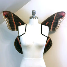 Brown Cecropia Moth Halloween Costume Wings for Women - Adult Fairy Wings