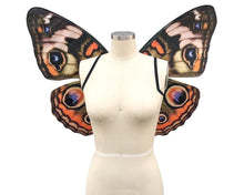 Woodland Buckeye Butterfly Costume Wings Costume for Renaissance Festivals