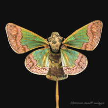 Fairy Wings Large Geometrid Moth Costume Wings