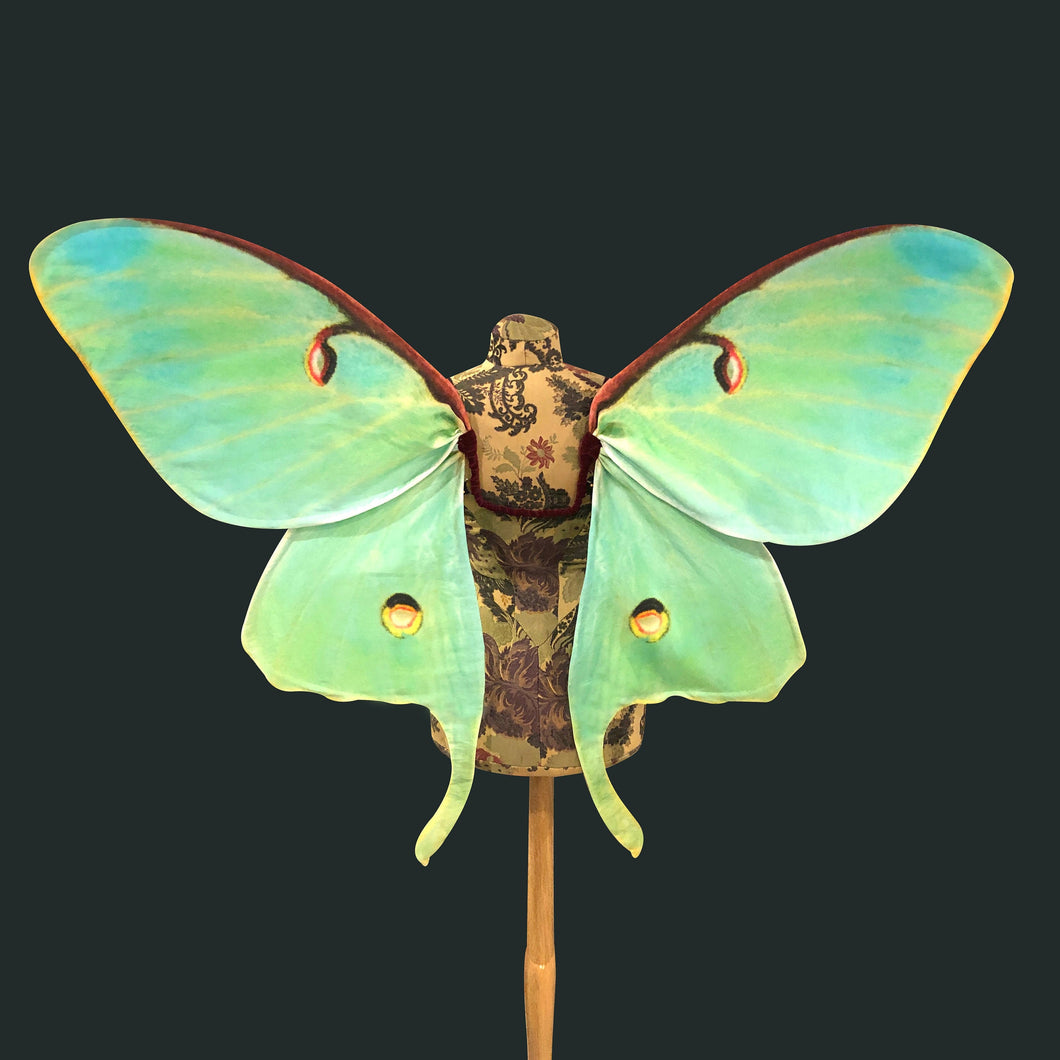 Large LUNA MOTH Fairy Wings Costume - Fairy Halloween Costume Wings - Moth Costume - Adult Butterfly Wings - Butterfly Fairy Costume