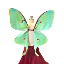 LUNA MOTH Fairy Wings for Halloween