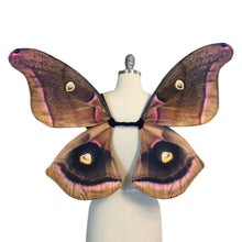 Moth Costume for Halloween Polyphemus Moth Fairy Wings