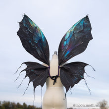 Large Labradorite Fairy Wings