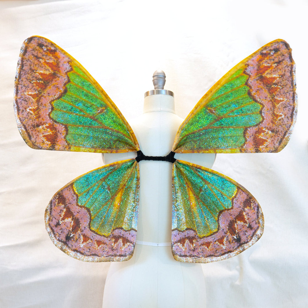 Geometrid Moth Costume Wings Medium