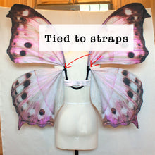 Large Pink Mother of Pearl Fairy Costume Wings