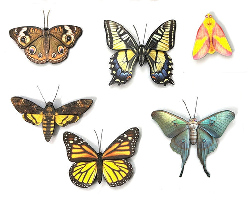 Collection of Butterfly and Moth Hair Barrettes or Brooches