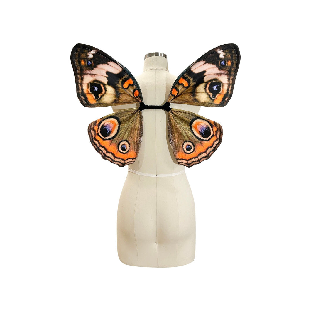 Small Buckeye Butterfly Costume Wings for Halloween