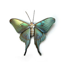 Luna Moth Hair Barrette Clip or Pin