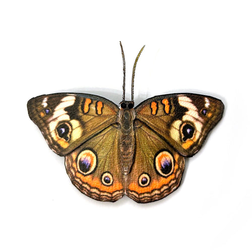 Buckeye Butterfly Hair Barrette or Brooch - Butterfly Hair Clip