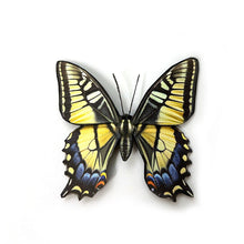 Collection of Butterfly and Moth Hair Barrettes or Brooches