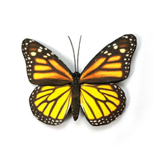 Collection of Butterfly and Moth Hair Barrettes or Brooches