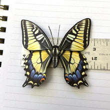 Swallowtail Butterfly Hair Barrette or Brooch - Butterfly Hair Clip