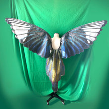 Realistic Magpie Costume Wings with Tail - Handcrafted Cosplay Wings for a Magical Avian Transformation